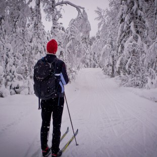 Norwegian Winter